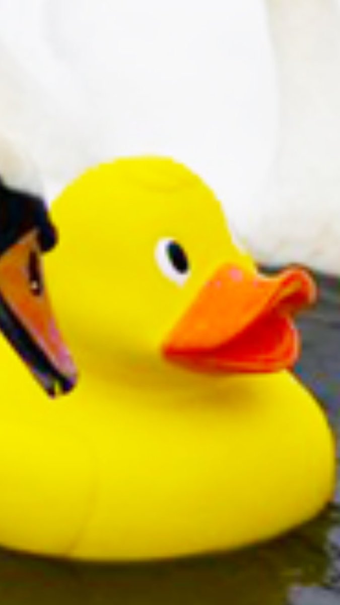 DumbFlotrack's tweet photo. when coach lies about ur time and u end up in the fast heat https://t.co/ILBuG4Pyir