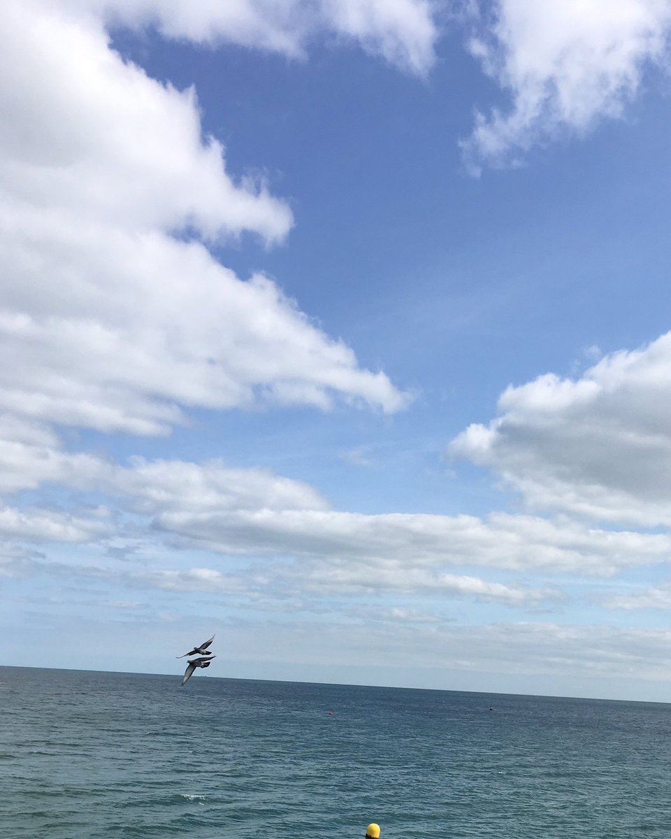 natguymosaics's tweet photo. A lovely day #lovewhereilive https://t.co/ZbKqUsJ6D6