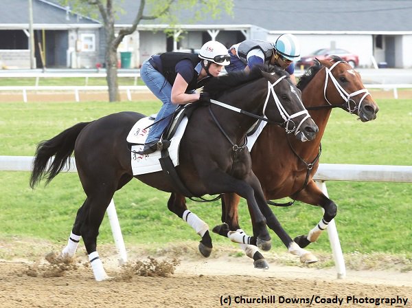 TwinSpires's tweet image. #Girvin, #FastAndAccurate breeze at Trackside Louisville for @KentuckyDerby
brisnet.com/content/2017/0…
