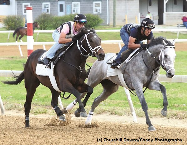 TwinSpires's tweet image. #Girvin, #FastAndAccurate breeze at Trackside Louisville for @KentuckyDerby
brisnet.com/content/2017/0…