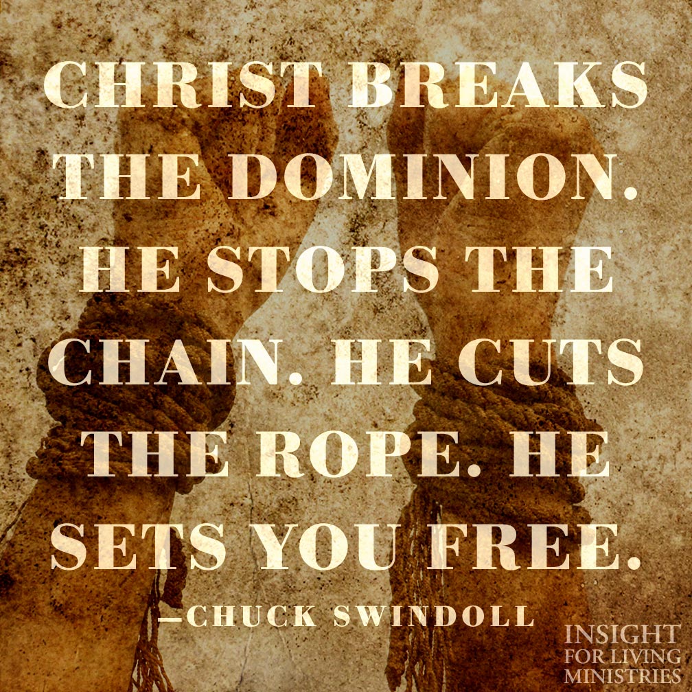 IFL_USA's tweet image. 