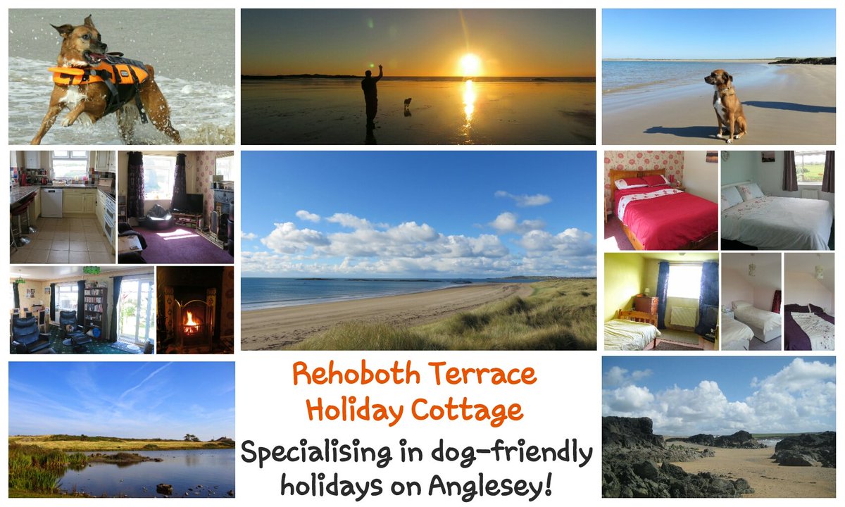 RehobothTerrace's tweet photo. Treat your dog to a hol on #Anglesey. #bookdirect @Hols_Direct @dotty4paws @VisitWales @WoofWoofNetwork Like us here:https://t.co/urh6yCF3Ab https://t.co/IhWf0B2pUC