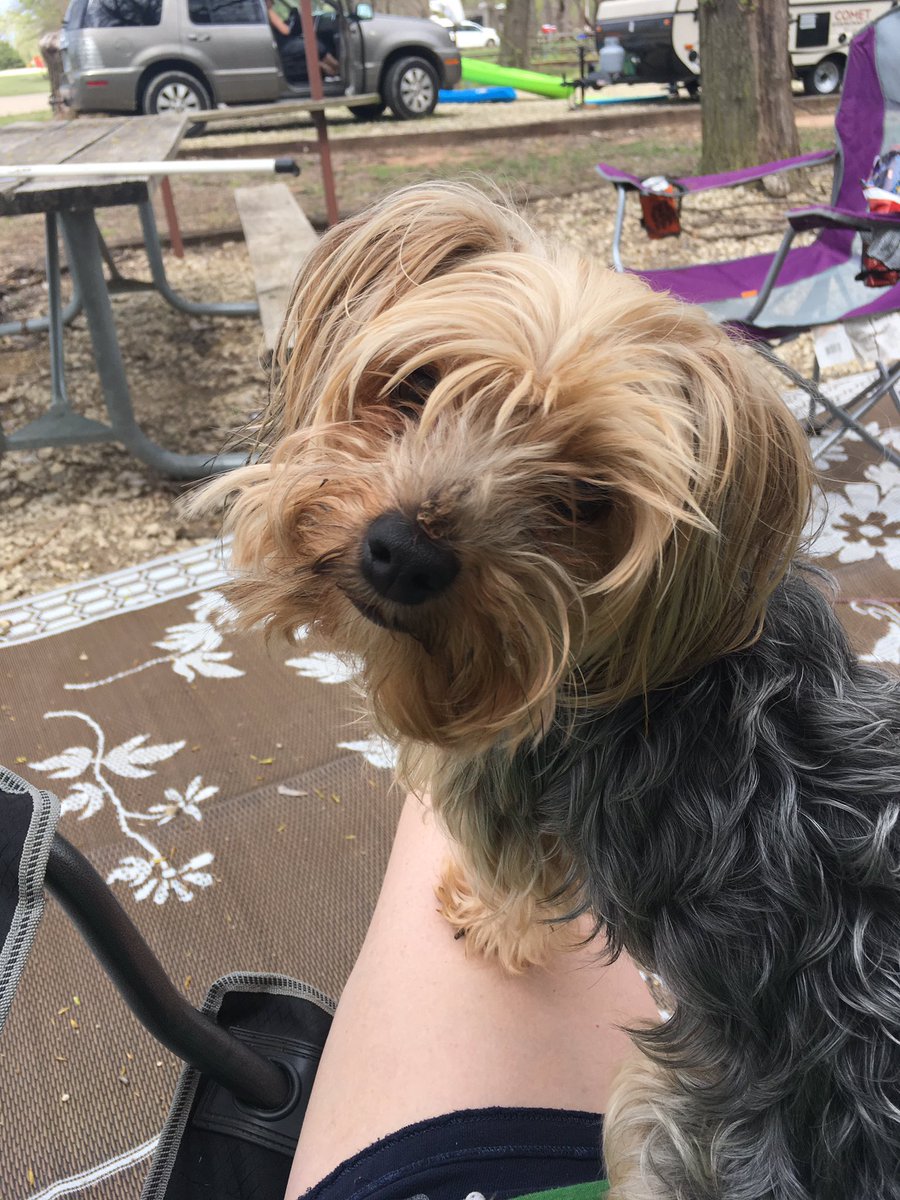 luckoirishgirl's tweet photo. Enjoying the great outdoors with this high maintenance thing 💜
#cheneylake https://t.co/HrGTUhjSDS