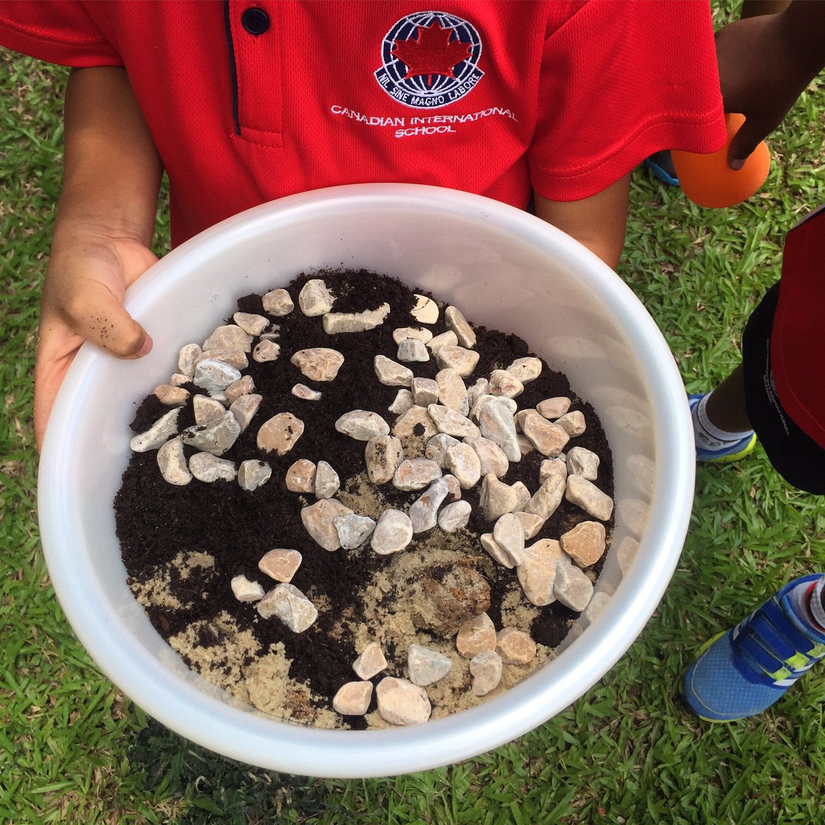 D4 of G2's OM Programme looks at soil. 🔑Qu=what's in it? How it can be different? Before creating their own soil mix