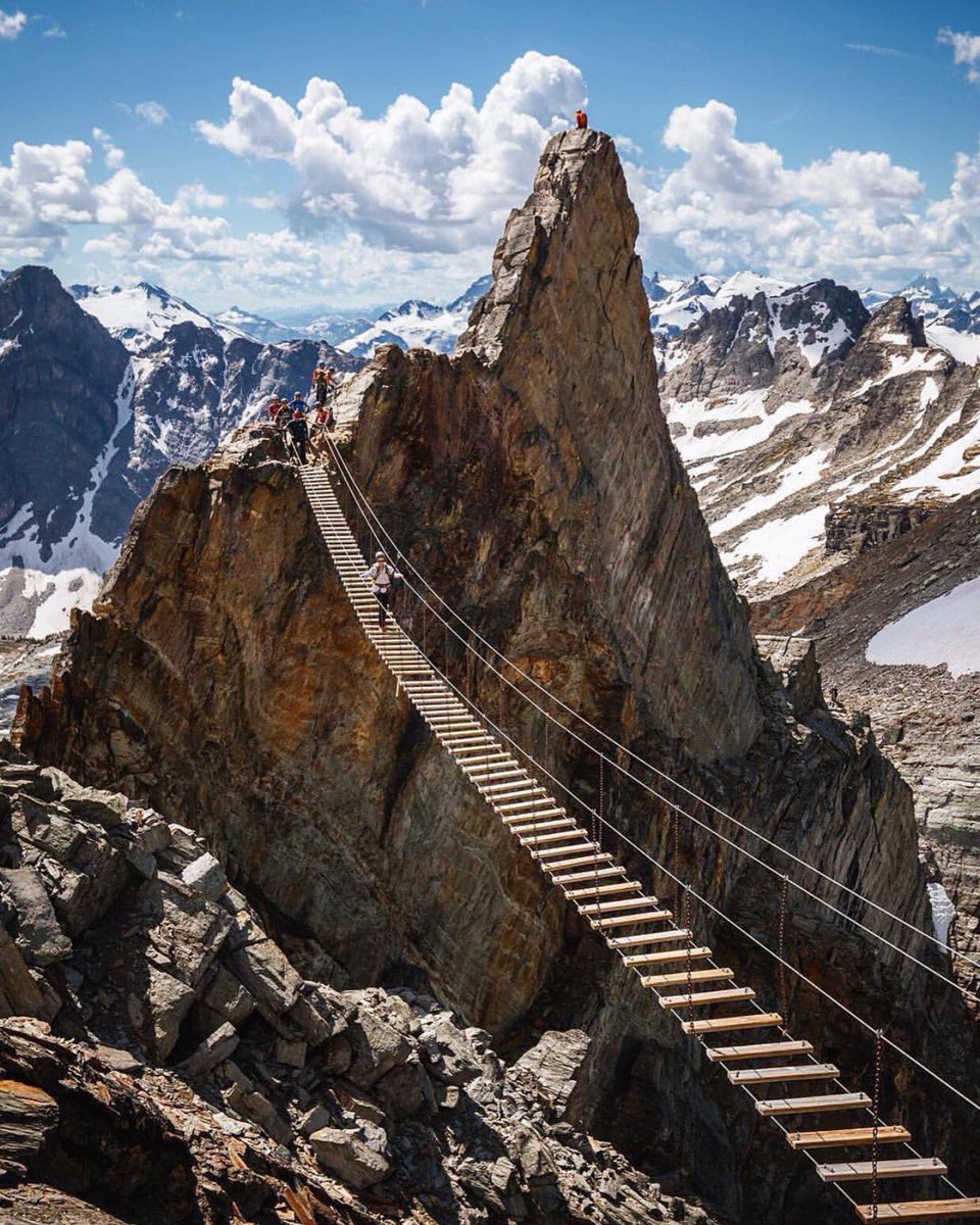 NatureOnPoint's tweet image. 