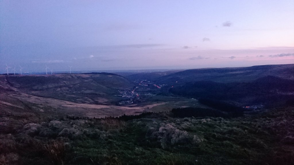 Evening walkies with the humans! #puggies #sunset #Wigglepug