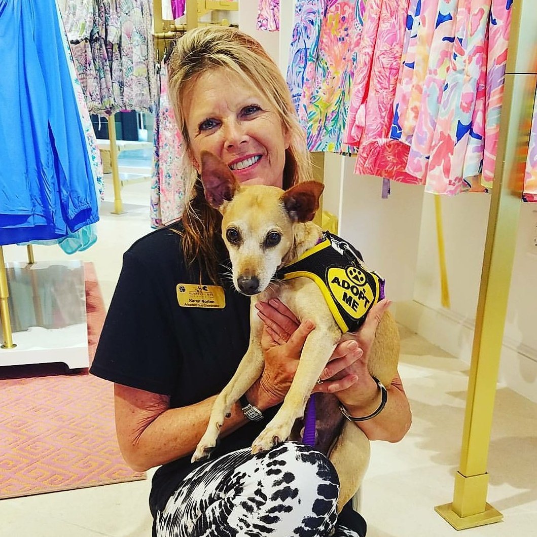 pbhsnaples's tweet image. Seven years old and absolute pure gold. 🐾💙👗 #AdoptBUDDY #LillyForHSN #HumaneSocietyNaples #PawsAroundTown #NaplesFlorida #Saturday #SWFL