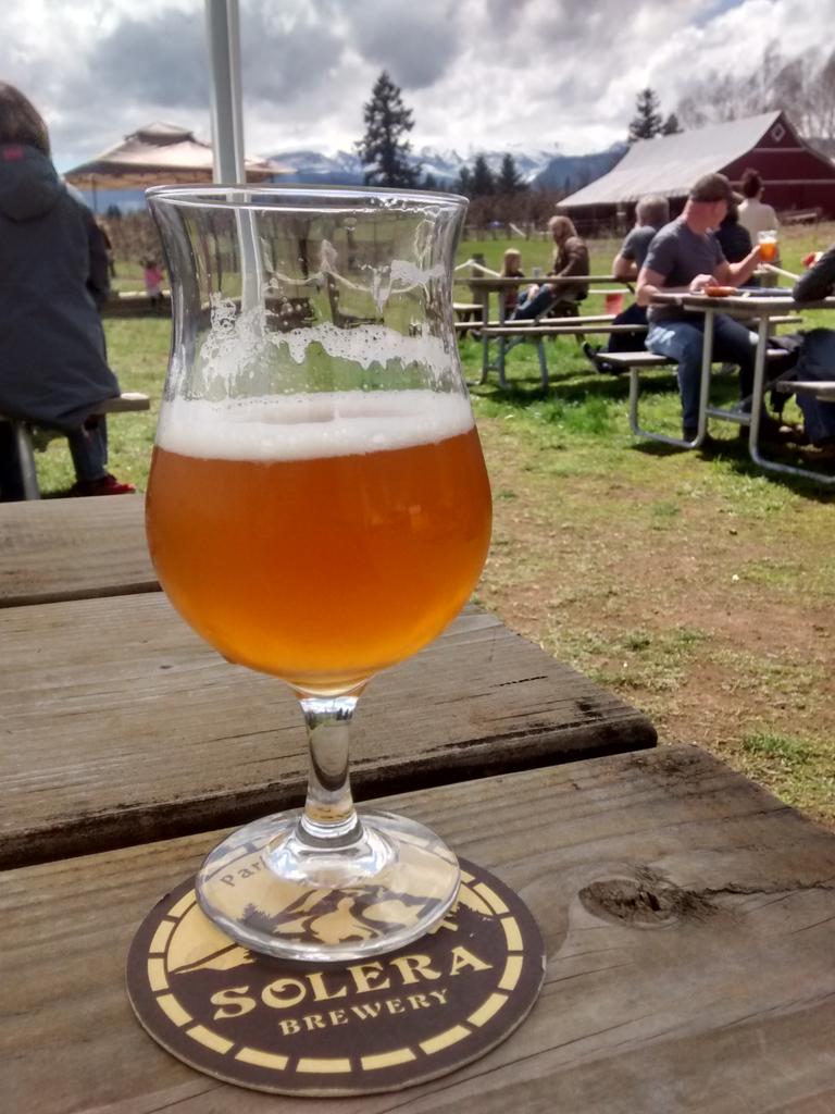 MrsRateBeer's tweet image. Loving Oregon style. Solera Brewing Hedonist IPA and Mt. Hood. Dogs frolicking.