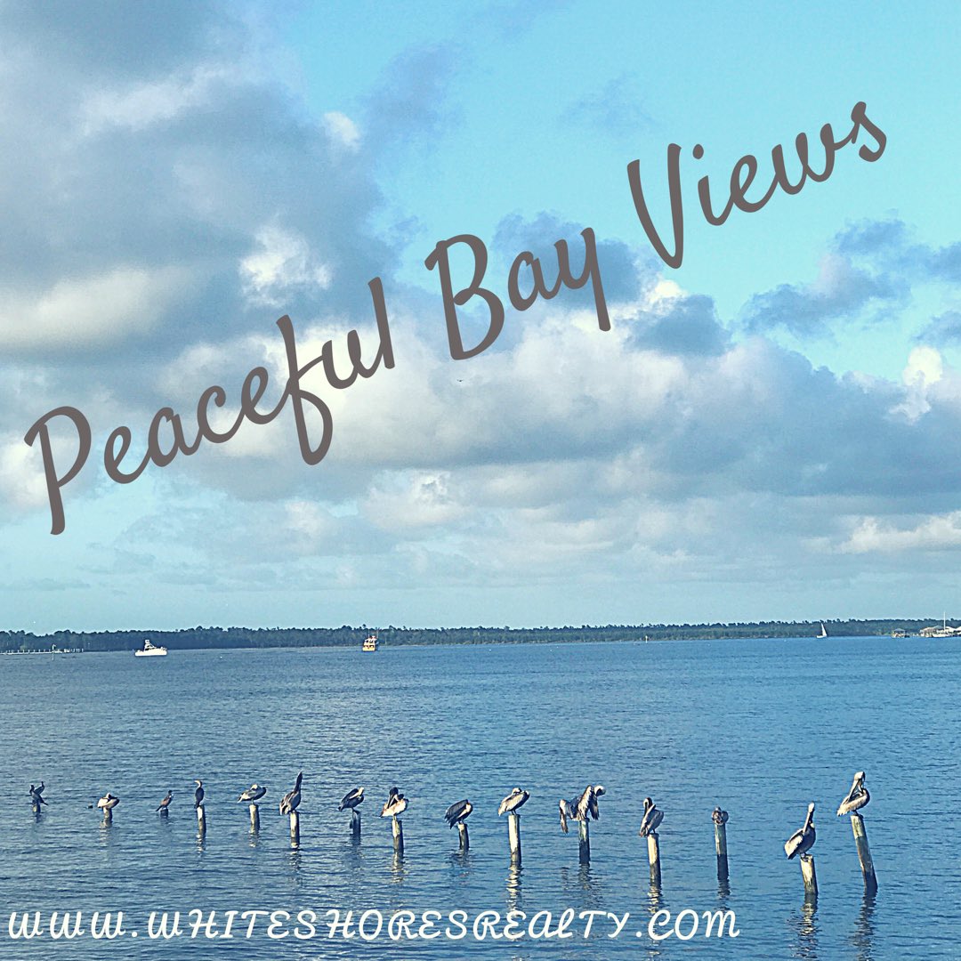 White Shores Realty (whiteshoresreal) Twitter