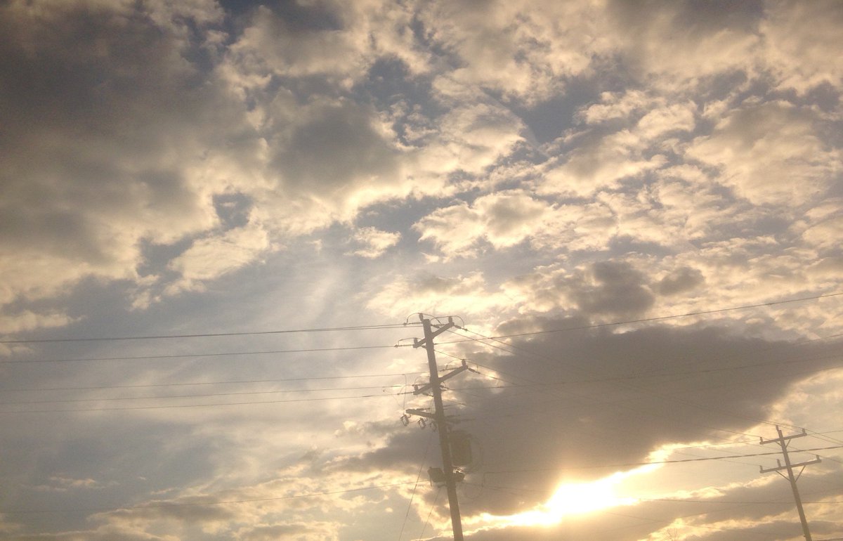 Chris Cornwell (@funkawwlogycc) on Twitter photo 