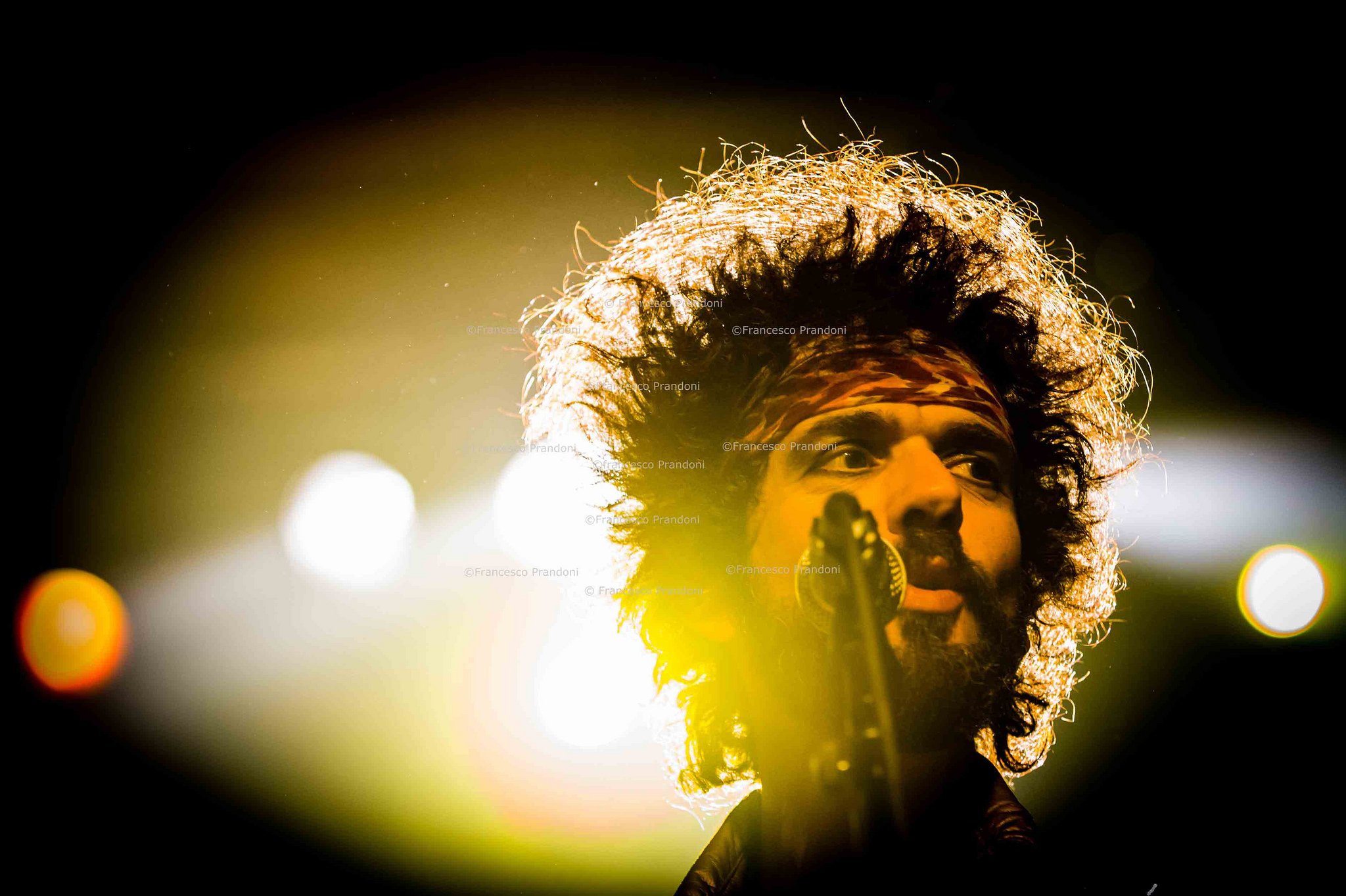 Happy Birthday Frankie Poullain! 