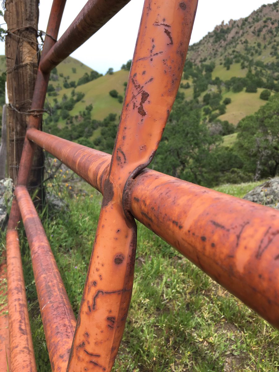 kelsosCorner's tweet photo. Sutter buttes hike (more): https://t.co/QyGkrQMbDQ