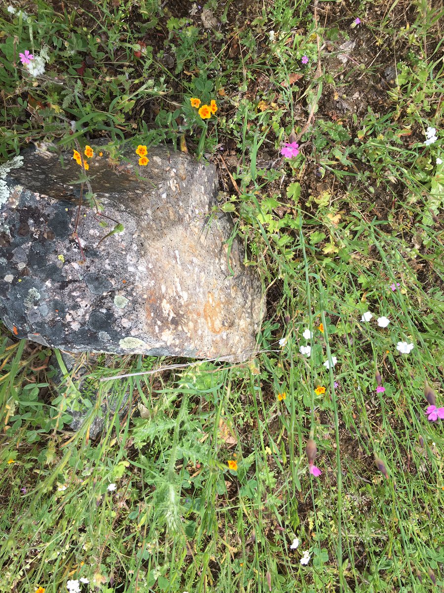 kelsosCorner's tweet photo. Sutter buttes hike (more): https://t.co/QyGkrQMbDQ