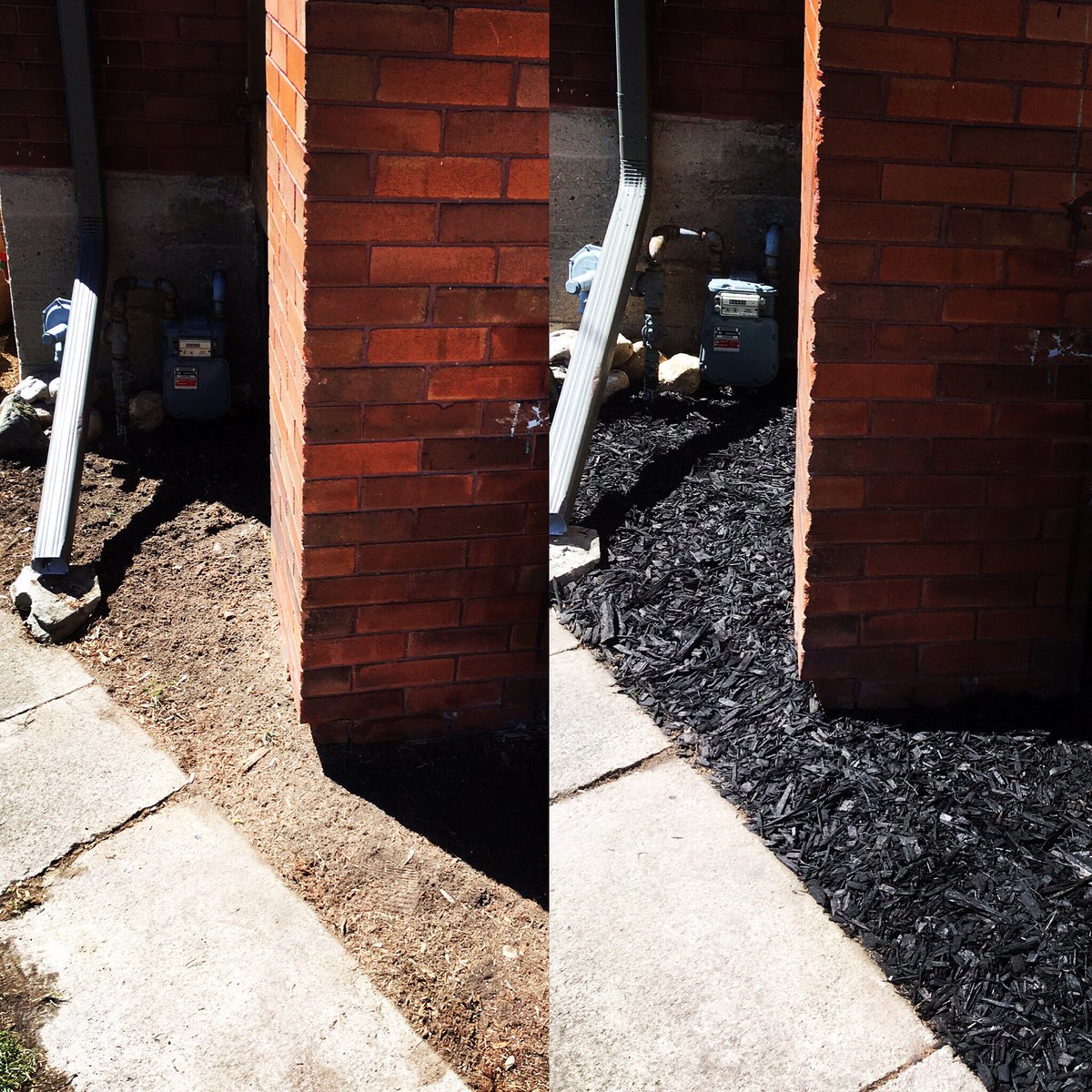 MowMasterGuelph's tweet photo. A black mulch refresh. 
 #curbappeal #Guelph https://t.co/ZmFnN9ngka