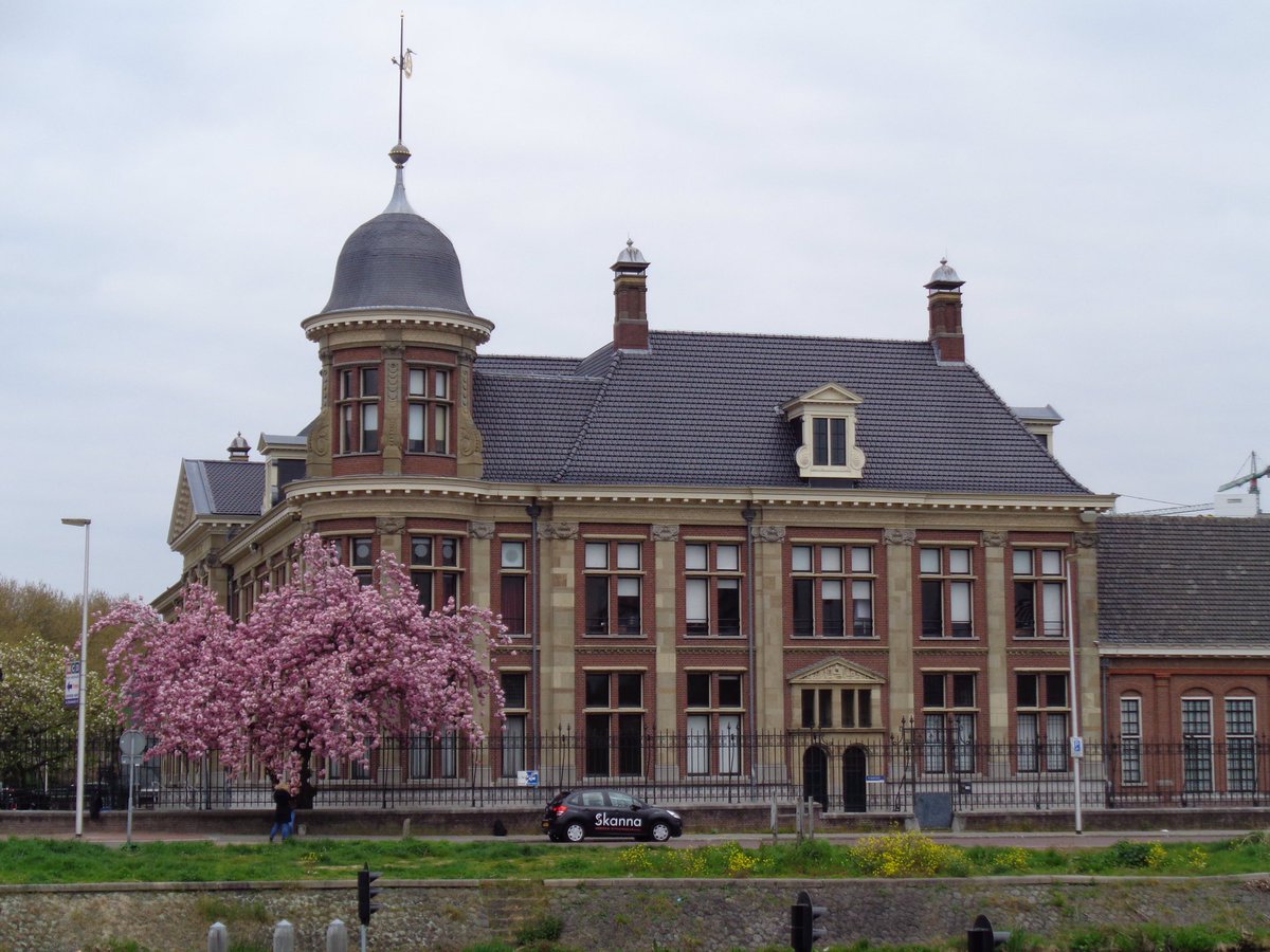 Romy Vermeer tweet media
