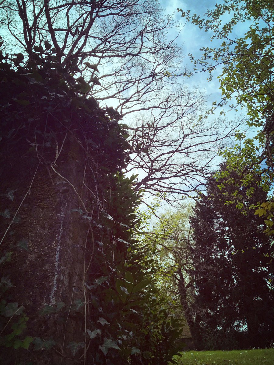 passion_isa's tweet photo. Do PhotographsIn The Wood, Run Alone In The Rain&amp;Sing My Heart Out High Up On A Mountain 
Life Is My Art❣️

#photography #natur

Blessyia❣️ https://t.co/JRbHAKXVu2