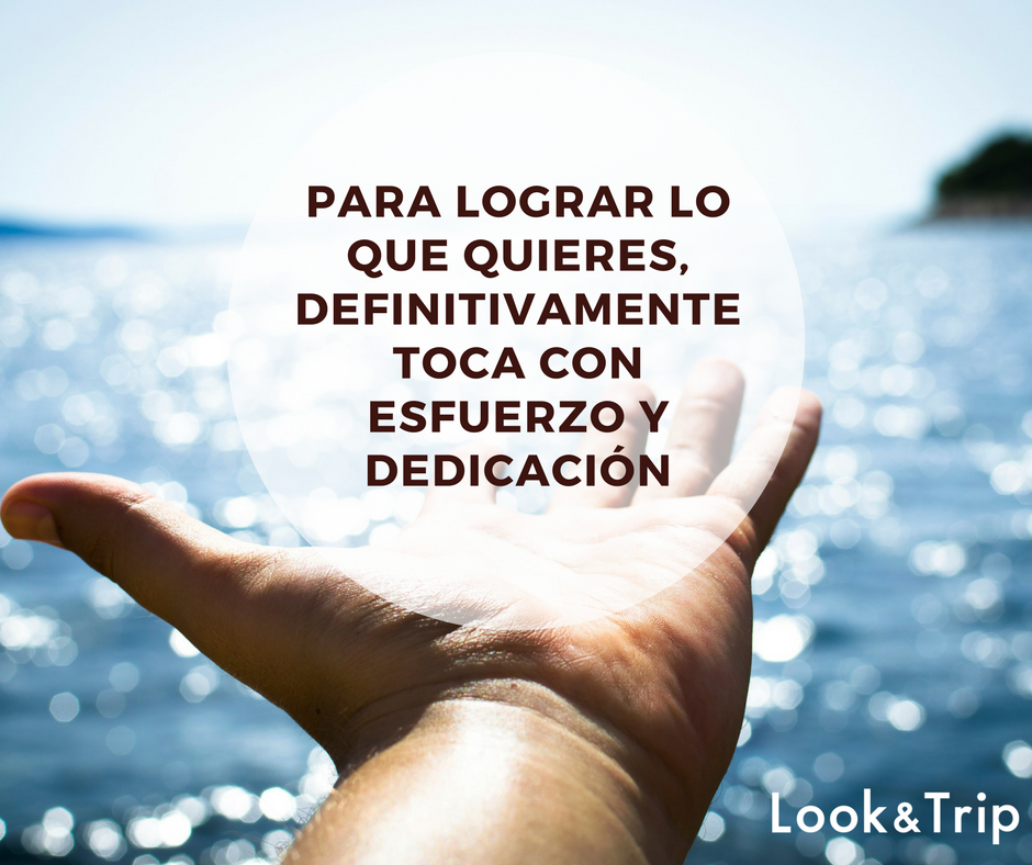 Look and Trip tweet media