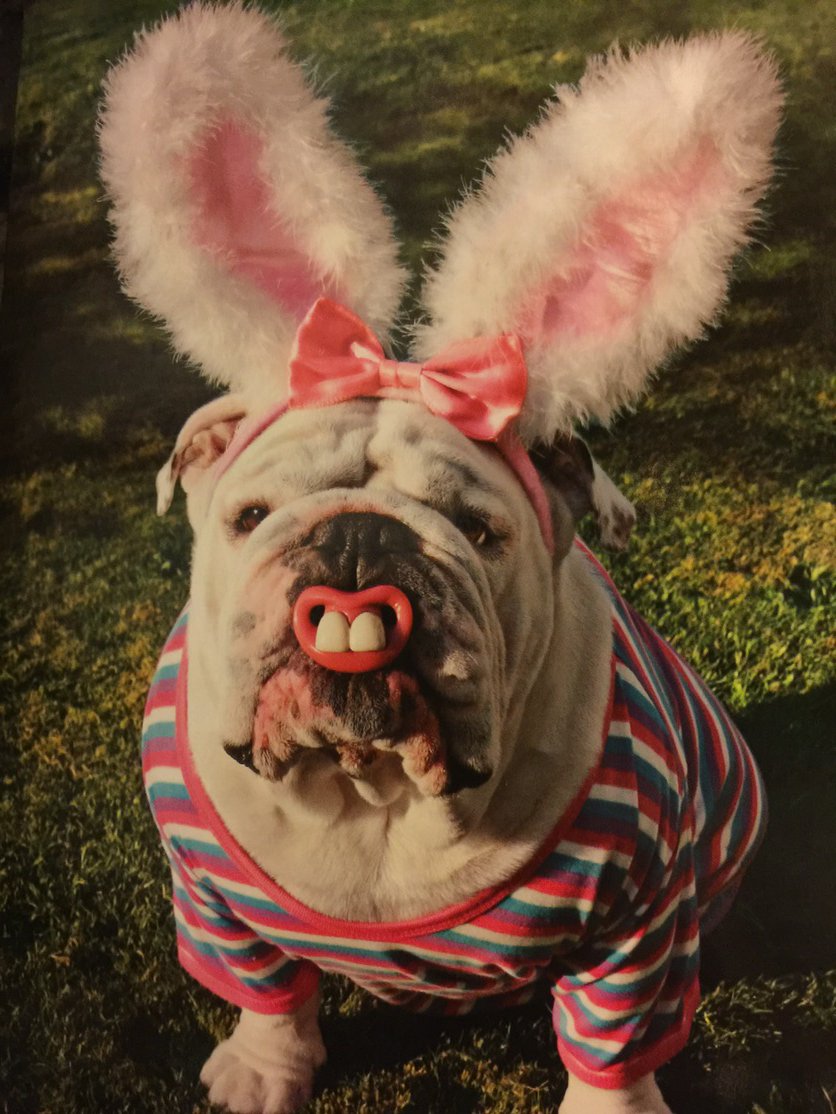 Yfielding's tweet photo. Happy Easter you!! Love ya. X https://t.co/zcLyT9u07K
