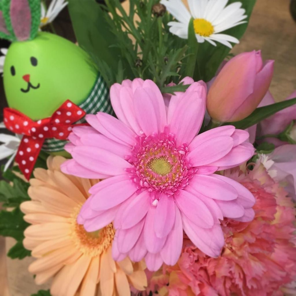 atelieruzu's tweet photo. Happy Easter !!!
ハッとするくらい元気に花開くガーベラは、芽吹きの春の生命力を明るく強く感じられるから、復活祭には是非とも飾りたいお花の１つ。
ワクワクする様な色をたくさん使って…。
#花 #花のある暮らし #暮… https://t.co/0Y3TgW9O9l https://t.co/bG1nR3343c