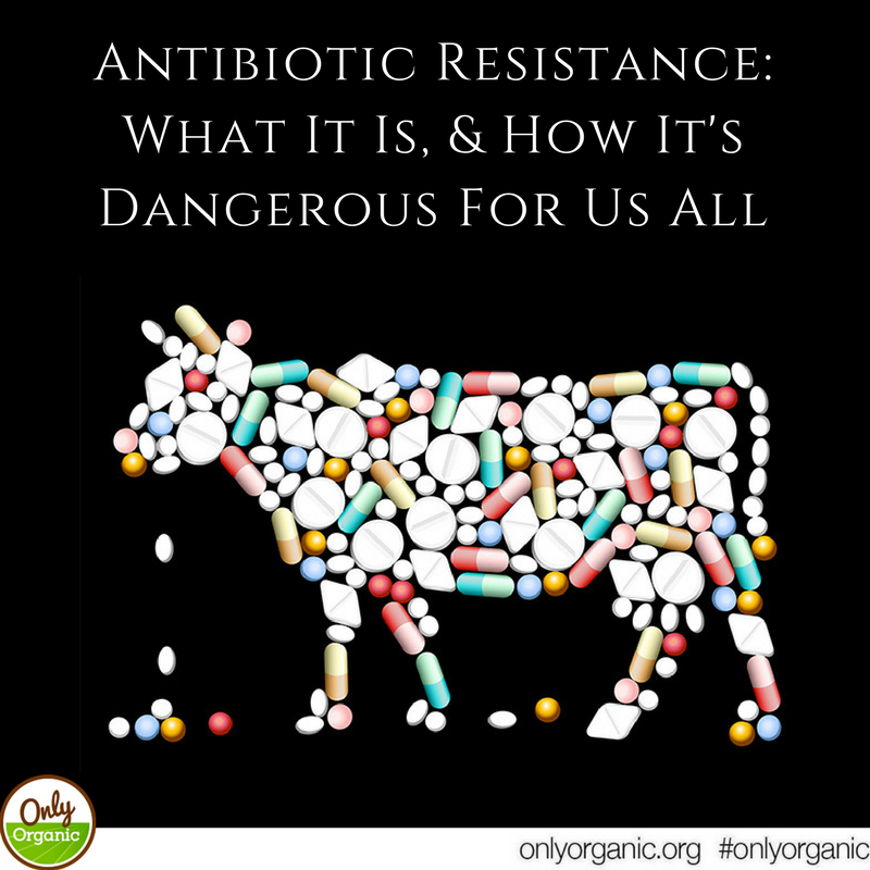 onlyorganic's tweet photo. Are you familiar with antibiotic resistance? Learn more here: https://t.co/Fm2LSJCMCf #antibioticresistance #food #healthd https://t.co/or26Vxflap