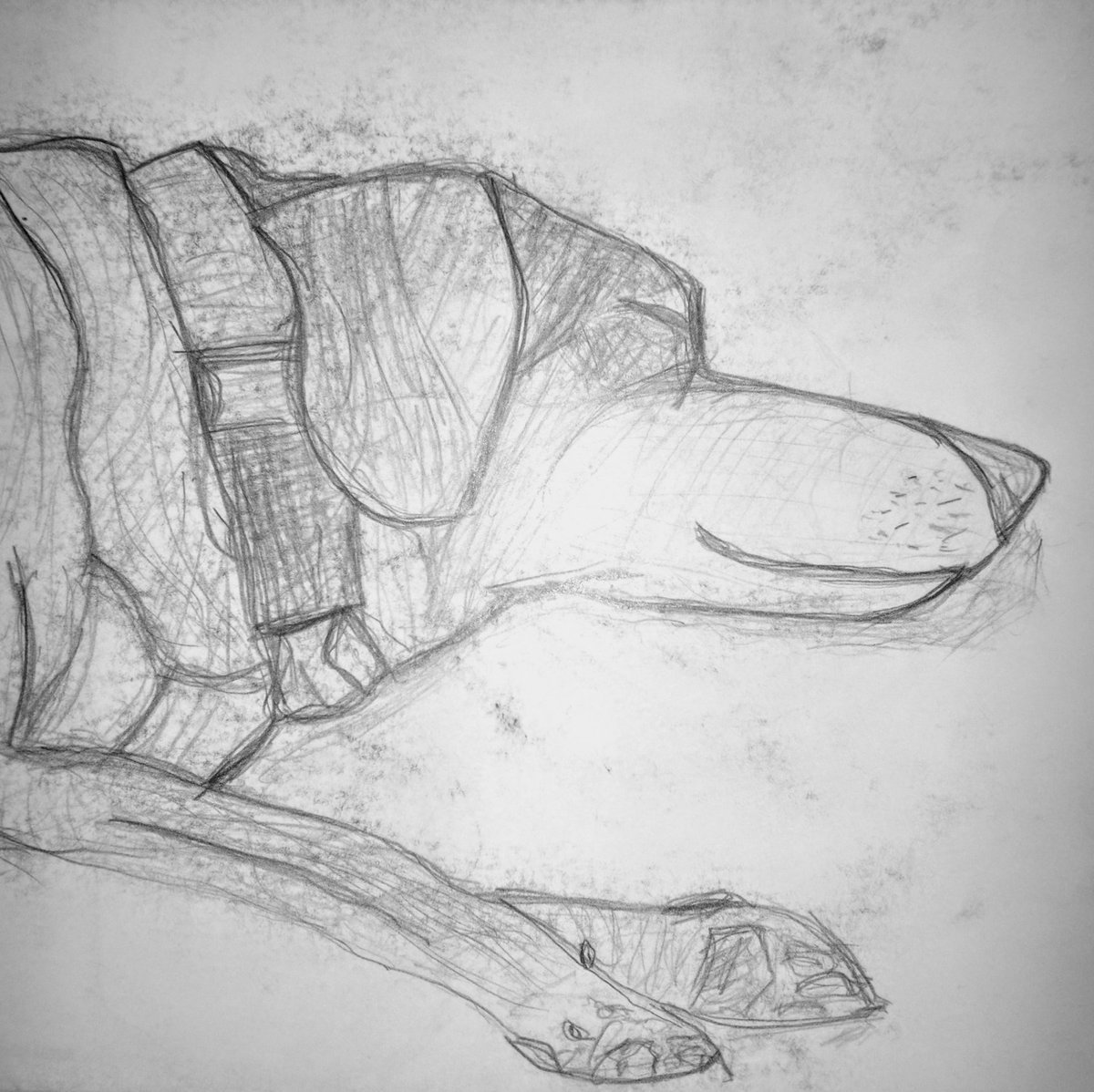 Found this napping in the vault. Best dog ever. Still miss her.