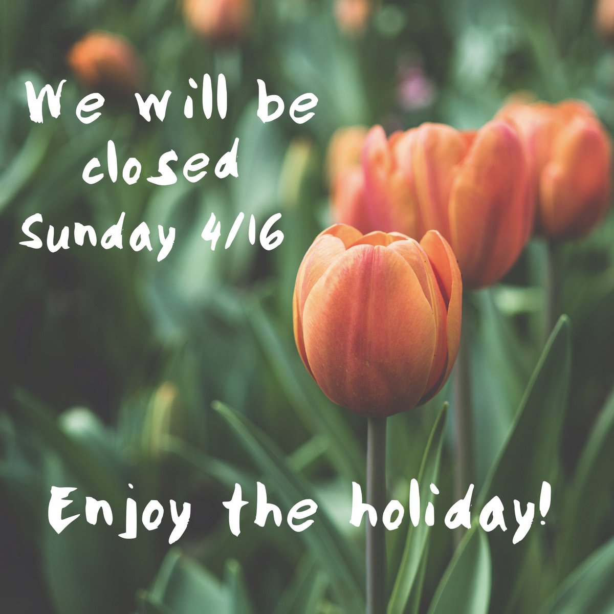 ThePlateKitchen's tweet photo. We'll be closed on Easter Sunday! See you on Tuesday. https://t.co/PoZd4NgBHw