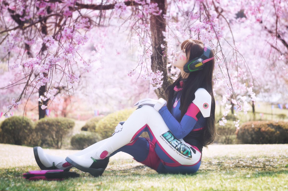 baby_yurisa's tweet photo. 벚꽃을담아 디바~!
🌸 -D.va https://t.co/BNMrwFPt6t