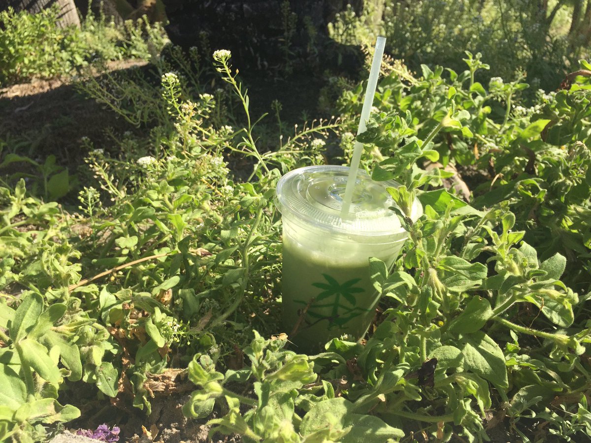 NylonMag's tweet photo. Gotta have my matcha~* π΅π΄ #matchella #Coachella2017 https://t.co/DzYQFaFmNs