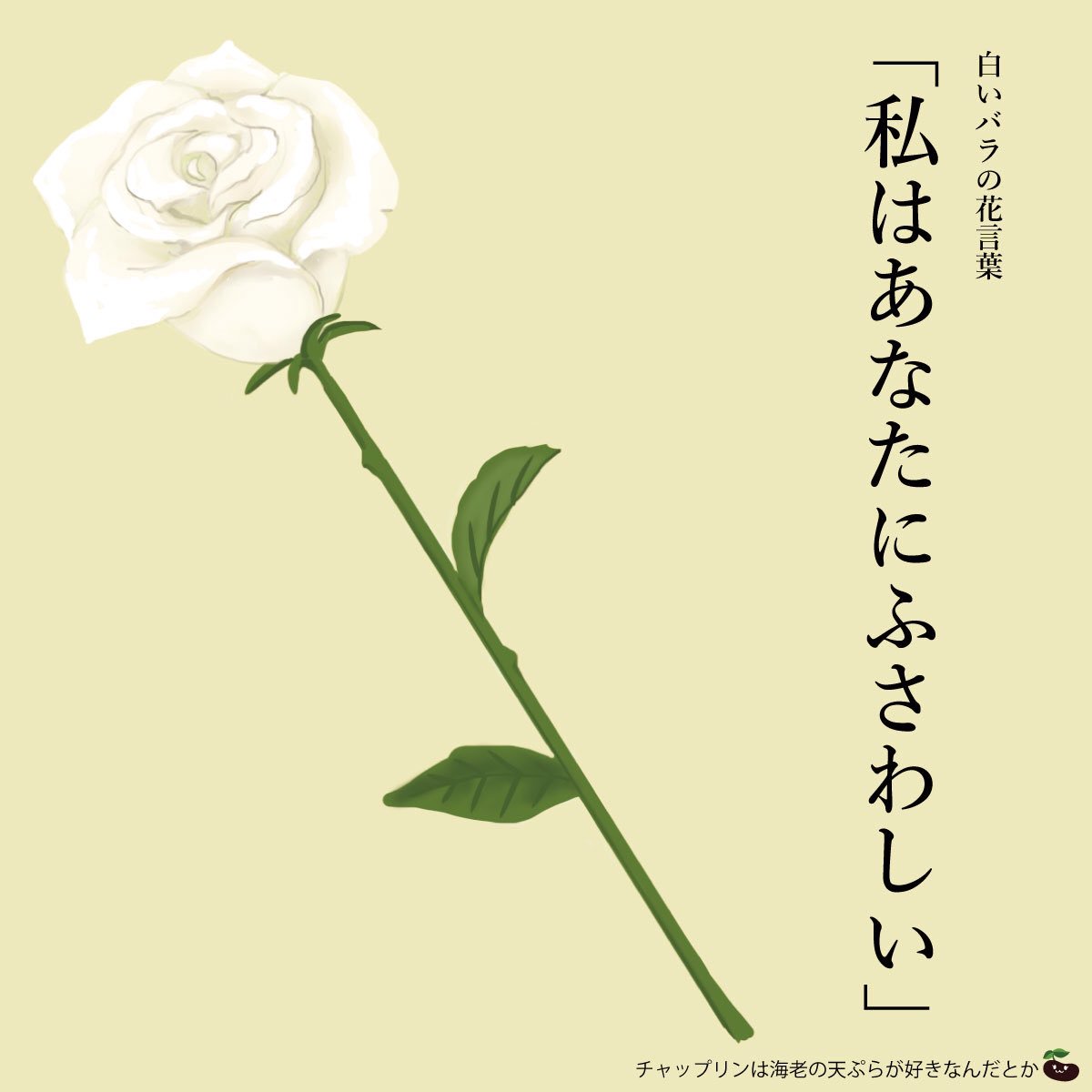 はな言葉 葉菜桜花子 新作ドレスできました 在 Twitter 上 きょう4月16日は チャップリンデー 喜劇俳優 チャールズ チャップリンの誕生日 代表作 街の灯 は花売りの女性から白いバラを一輪受けとるラストシーンがとても印象的です 白いバラの花言葉 私は