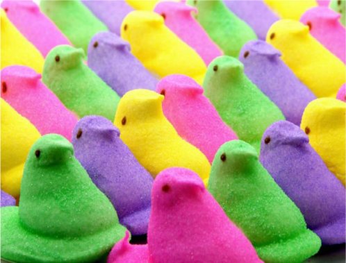David Daniel☆👓🎲🎿⛳🎣🎨🎙 (@dandolphin2) on Twitter photo Felice Pasqua🐦🍭
<a href="/1LA_Lady/">✰‿❤⌒*✰ ᏘᏰᏰᎽ ✰‿❤⌒*✰</a>
<a href="/MGWV1OO/">MGWV</a>🍭
@Jean__Grey_
<a href="/LoveAngelXO/">❤️🌹AngelLoveXO🌹❤️</a>🐦
<a href="/Kvvvkvvk/">௹ ㋡ℳGŴᏉ㋡﷼</a>
@Anny_______0es3🍭
@MGWV5OOpx
@oce2005🐦
@AngelFire875
#MGWV🍭
#1FIRST Felice Pasqua🐦🍭
<a href="/1LA_Lady/">✰‿❤⌒*✰ ᏘᏰᏰᎽ ✰‿❤⌒*✰</a>
<a href="/MGWV1OO/">MGWV</a>🍭
@Jean__Grey_
<a href="/LoveAngelXO/">❤️🌹AngelLoveXO🌹❤️</a>🐦
<a href="/Kvvvkvvk/">௹ ㋡ℳGŴᏉ㋡﷼</a>
@Anny_______0es3🍭
@MGWV5OOpx
@oce2005🐦
@AngelFire875
#MGWV🍭
#1FIRST