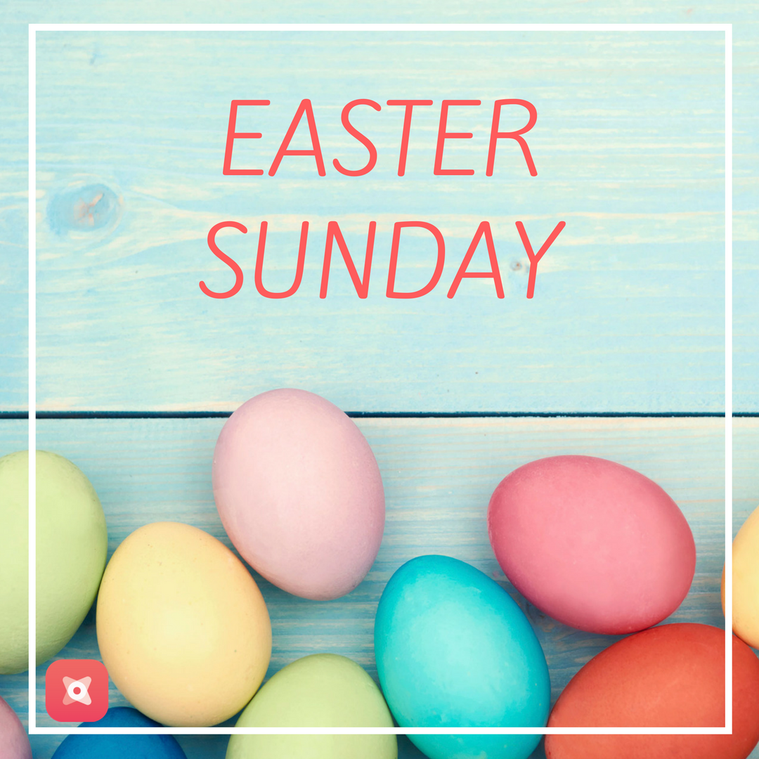 leukitup's tweet photo. Easter Sunday! #leukitup #easter https://t.co/jJCSRv1p57