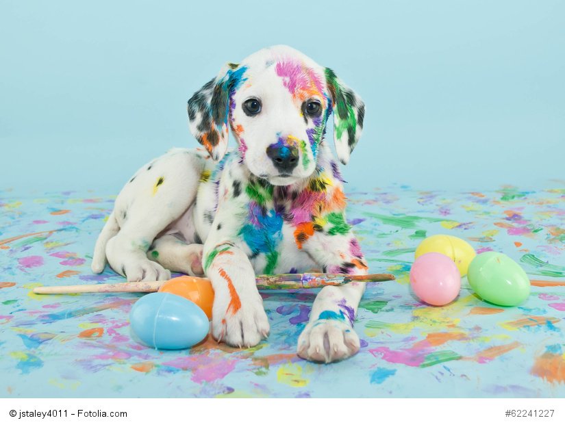 singtomeadam's tweet photo. @TheCanterburyWA Have a good Easter Sunday......from messy me! https://t.co/sDeDIciCDR