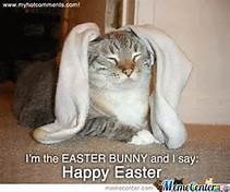 singtomeadam's tweet photo. @AtlanticCats happy Easter 2 u! https://t.co/uqRSMavTU8