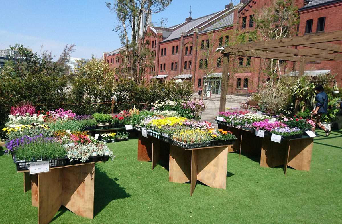 yokohamaredbric's tweet photo. 本日も10時からフラワーマルシェを開催しますっ♪かわいいお花や多肉植物がたくさんありますよ〜! #横浜 #赤レンガ倉庫 #NAKANIwA https://t.co/2bppOZ1afJ