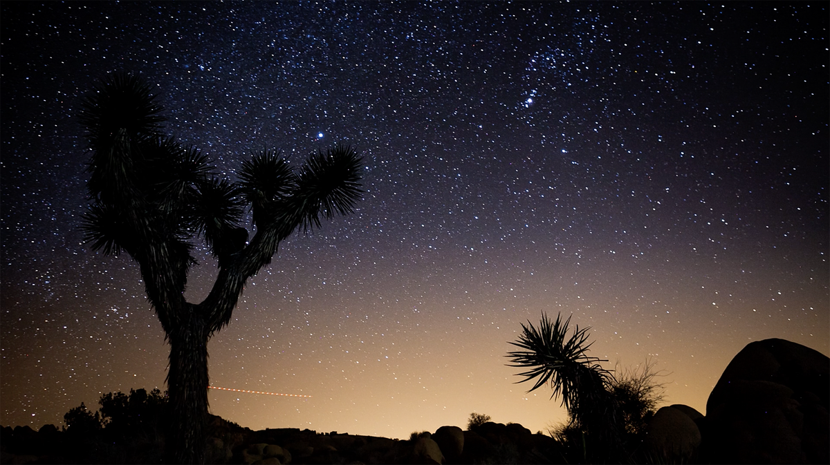 TheAutry's tweet photo. Some #RoadTrip inspo from @JoshuaTreeNPS for this #HolidayWeekend from the #CAroadtrip video install in #CAcontinued https://t.co/WcXlZuT1vn https://t.co/lC9oSVVctZ