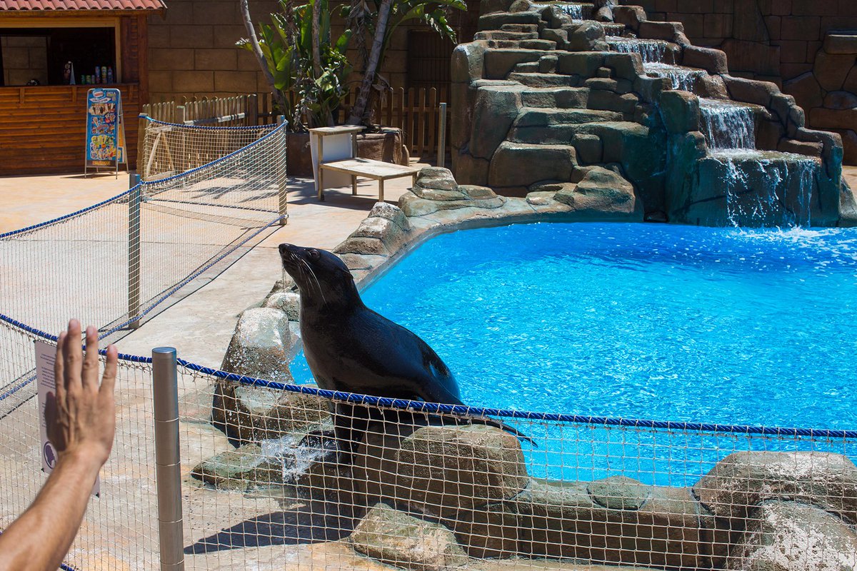 Free image from the zoo. #freeimages #freephotos #photography #images #photos #free #animal #Freeimage #blogging #ProBlogger #Fotografía
