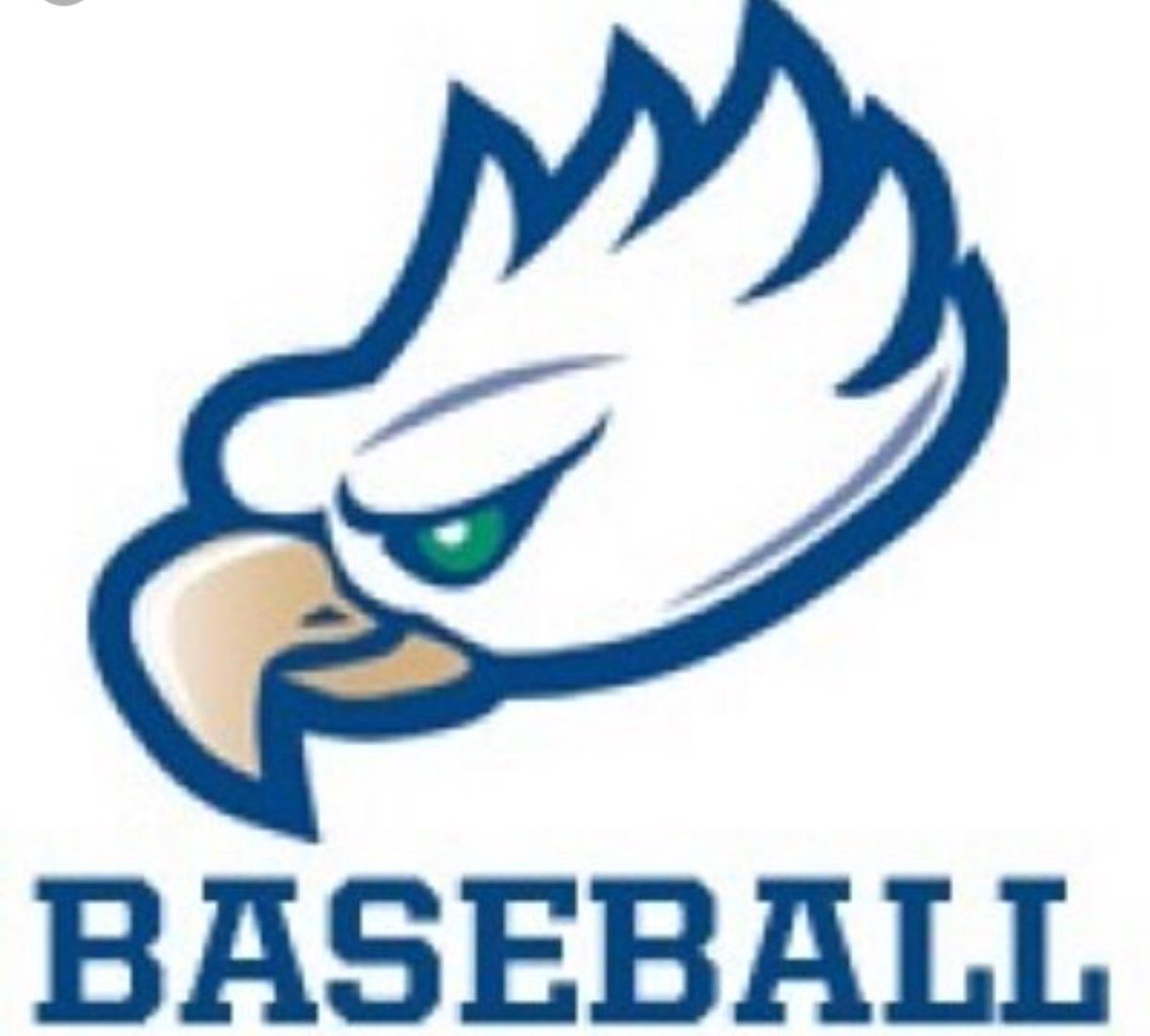 SJR_BASEBALL's tweet photo. Vikings OF Justin Smith commits to @FGCU_Baseball Justin leads the state with 13 HR's! https://t.co/b5CVZTFwJ3