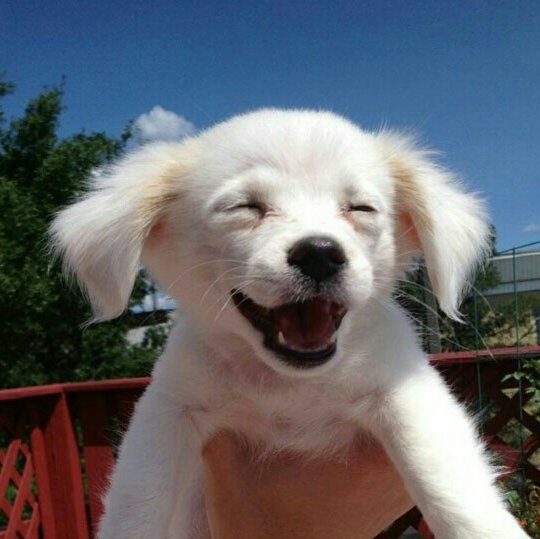 127cds's tweet image. 