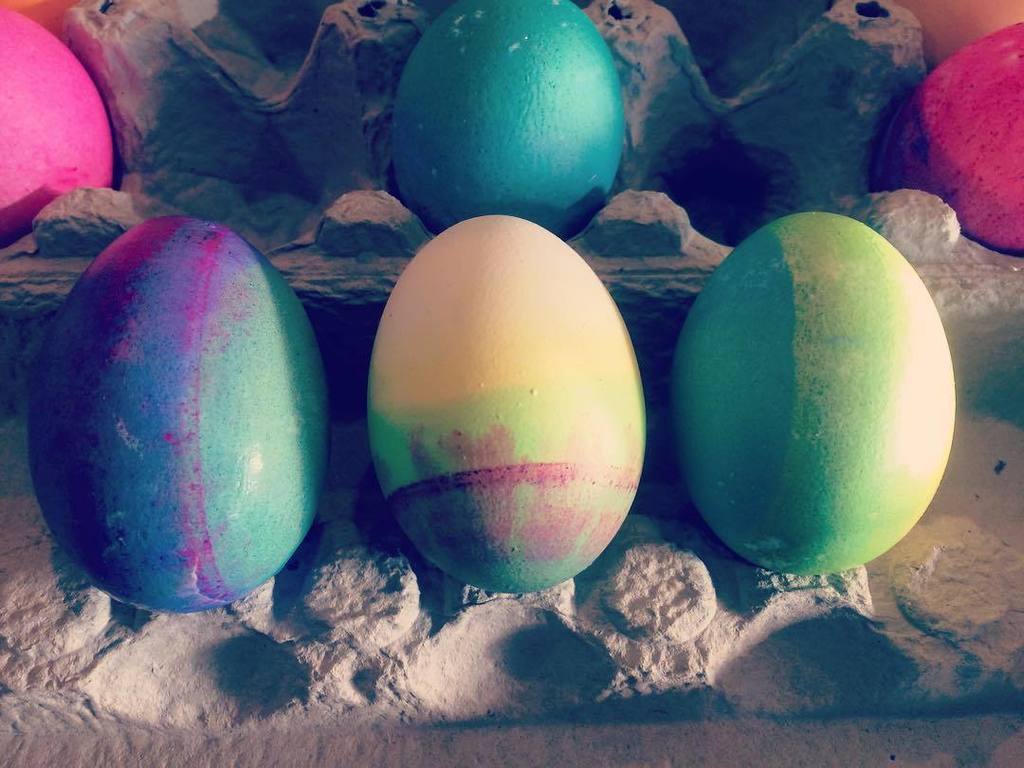 steph_krause's tweet photo. Happy Easter everyone 🐣 https://t.co/5lzG4VZjkl https://t.co/L24Wq78emz