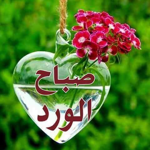 Rana_rana44's tweet photo. في ناس لازم تخلّي علاقتك فيها أقصر من سلك الشاحن عشان تنام مرتاح.
😊😊
صباحكم سعاده ووفاء https://t.co/QxHA4AmsG5