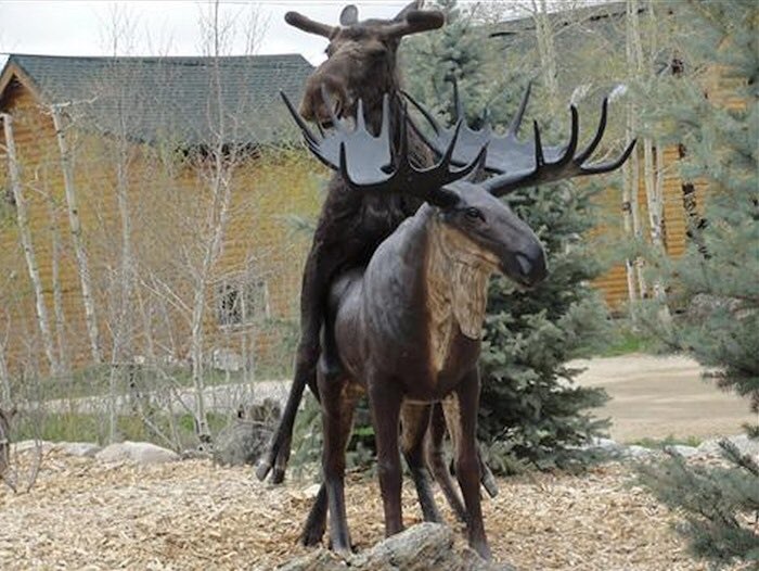 DMooreorless's tweet image. Moose dong is the best dong.  #Royals