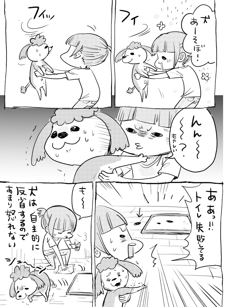 猫と犬の違いあるあるw気になるトイレ編www