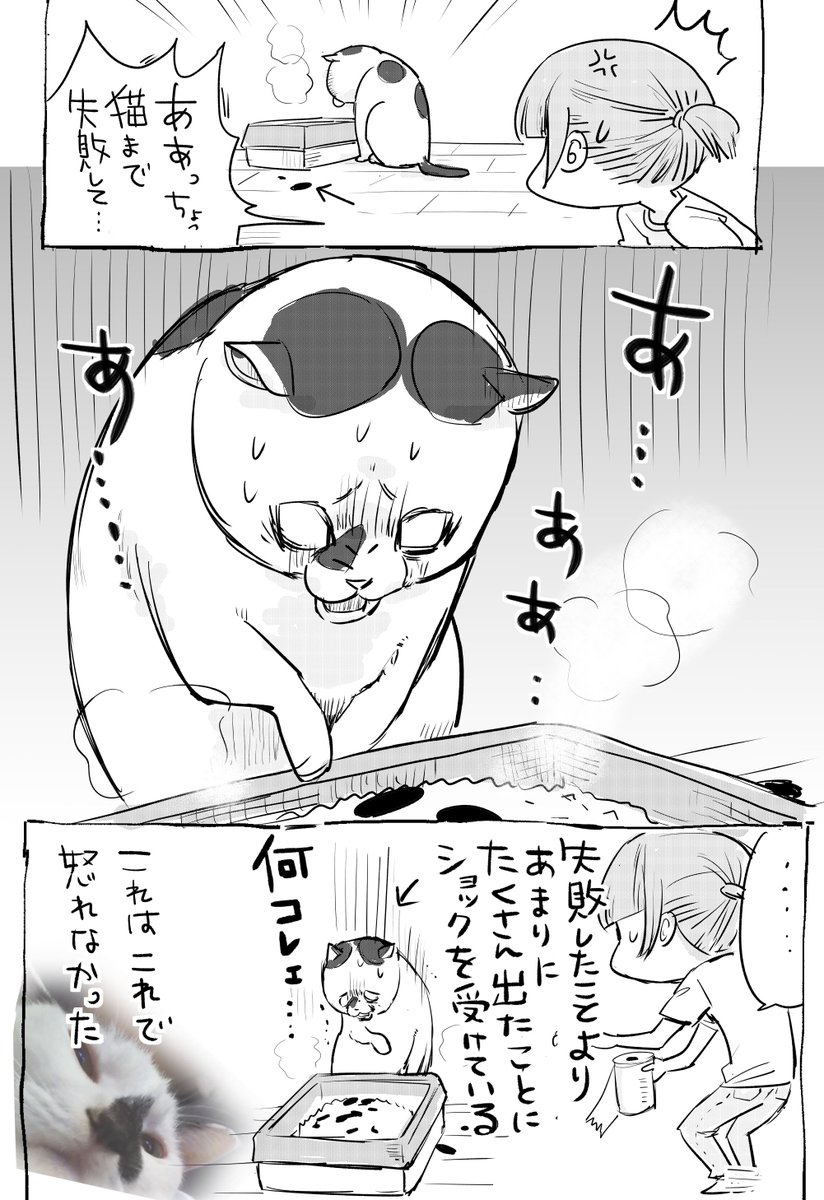 漫画家 松本ひで吉先生の犬 猫対比漫画が犬派も猫派も共感できて和む Togetter