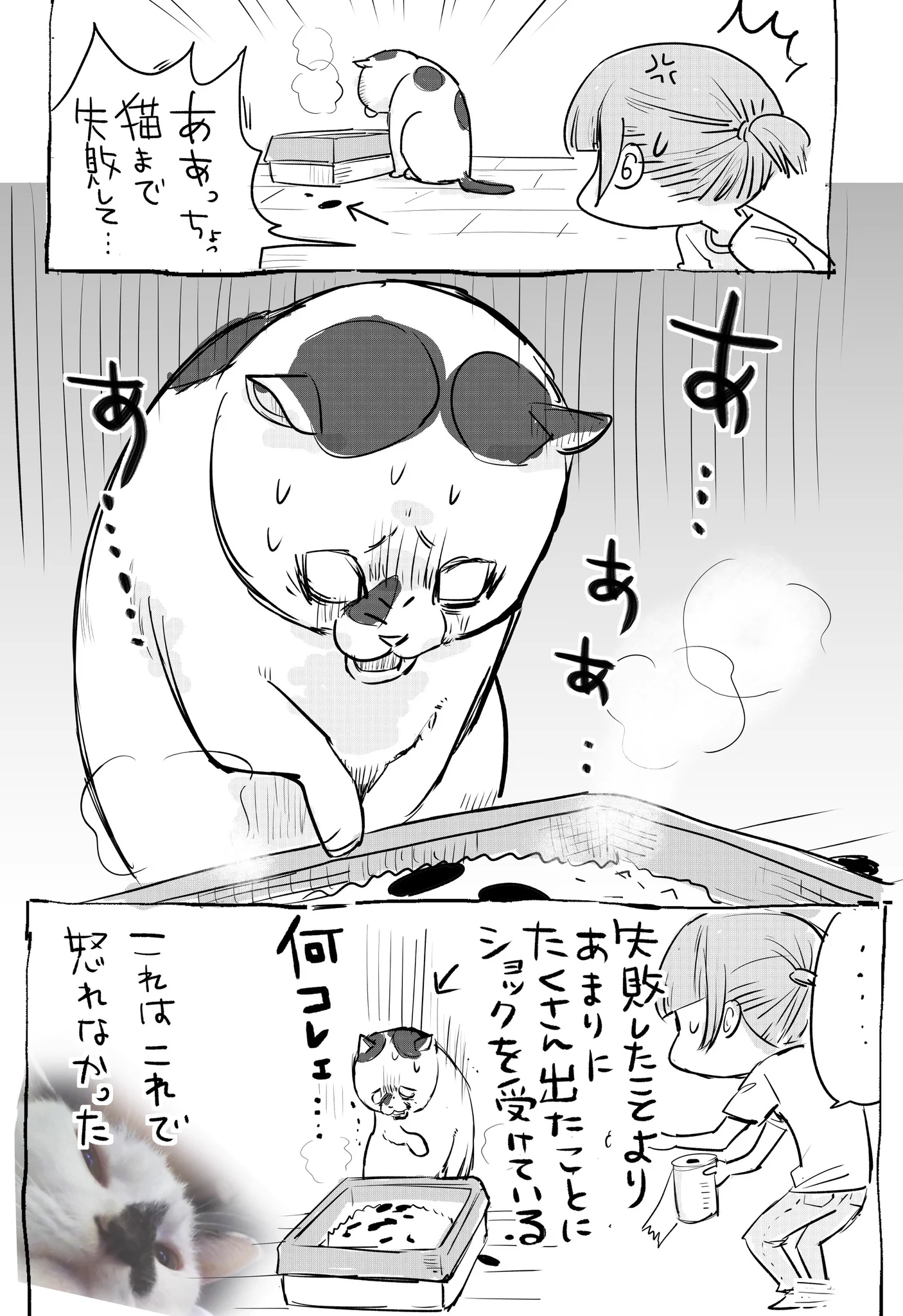 猫と犬の違いあるあるw気になるトイレ編www