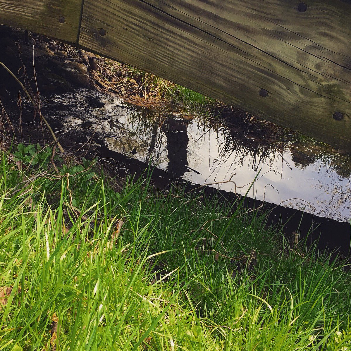 KayMDavid's tweet image. Under the Bridge