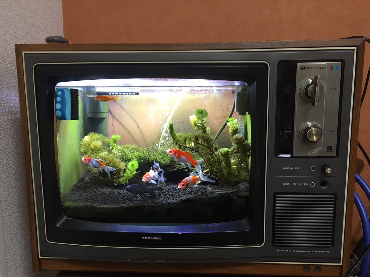 レトロなテレビ水槽