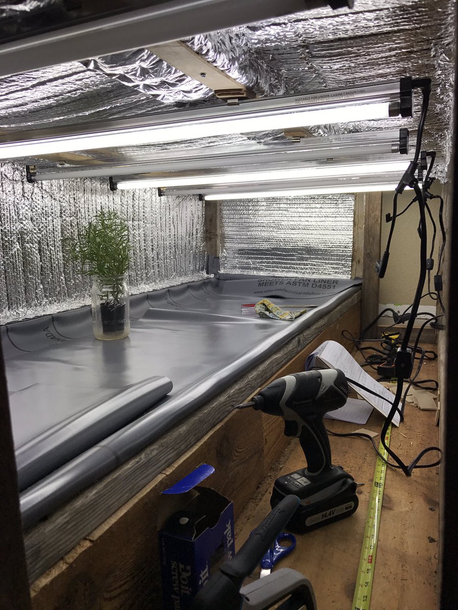 And the lights are up (just need connectors, so only half are lit for now but wow! is it bright in there!! Finishing touches tomorrow.