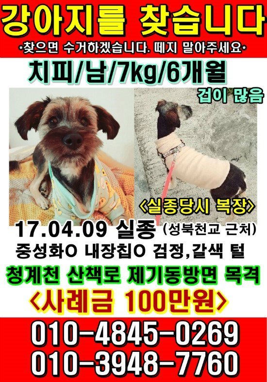 skymeet1's tweet photo. @corcorgiBH 초면에 실례지만 부탁드립니다.백호팬입니다. 백호누나 팔로워 많으시니 전단지 좀 트윗해주세요.행동사 강아지인데 임보집에서... https://t.co/z0mn6LFNm5 by #april0315 via @c0nvey https://t.co/jsRAhrSMcX