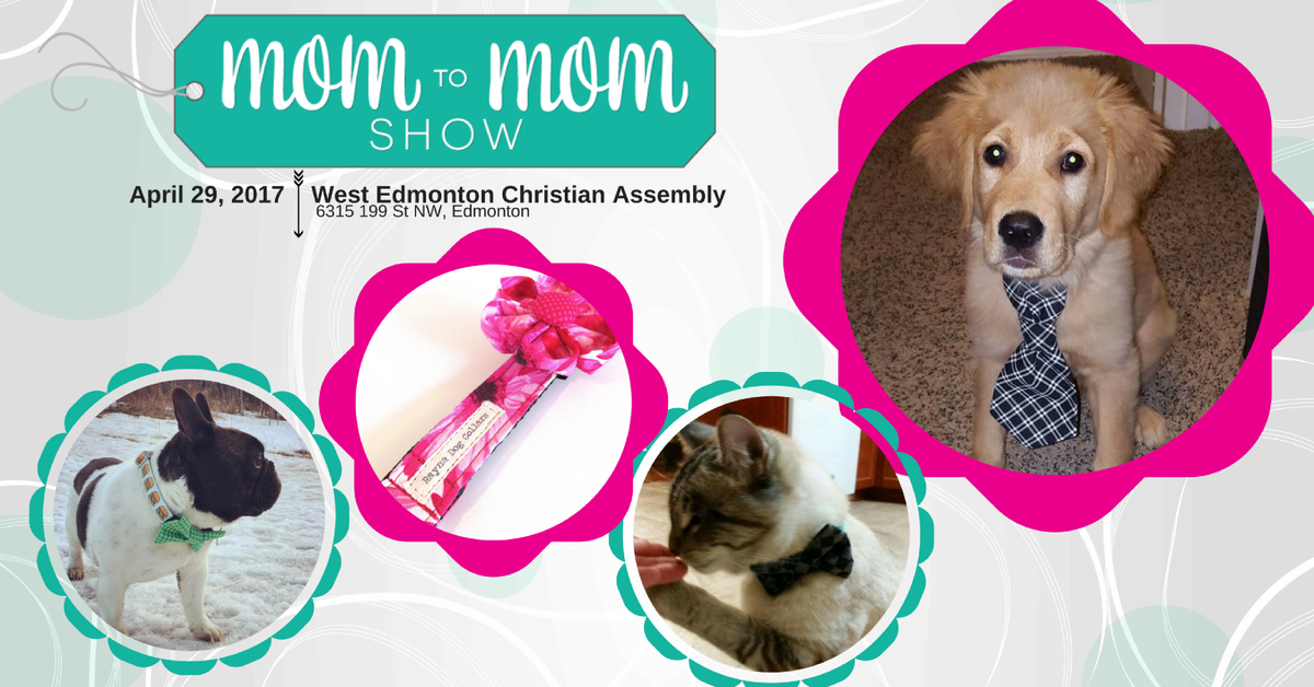 MomToMomShowYEG's tweet photo. Pets are family too, guys! Rayna Dog Collars makes sure your pets are the best dressed around! Check them out at the #m2mshow #shoplocal https://t.co/jAJIhbQK9G