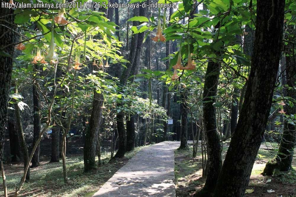 Taman Hutan Raya Ir. H. Djuanda